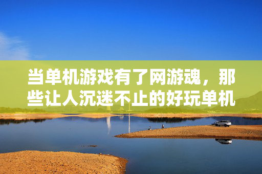 当单机游戏有了网游魂，那些让人沉迷不止的好玩单机体验，单机游戏的网游魂，沉迷不止的沉浸体验