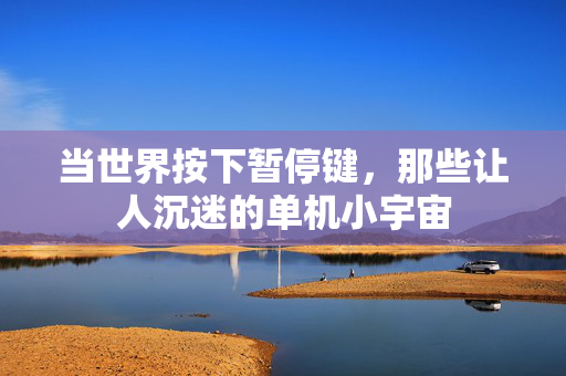 当世界按下暂停键，那些让人沉迷的单机小宇宙