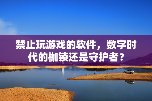 禁止玩游戏的软件，数字时代的枷锁还是守护者？