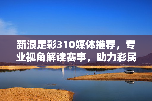 新浪足彩310媒体推荐，专业视角解读赛事，助力彩民理性投注，新浪足彩310，专业视角解读赛事，助力理性投注