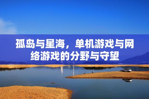 孤岛与星海，单机游戏与网络游戏的分野与守望