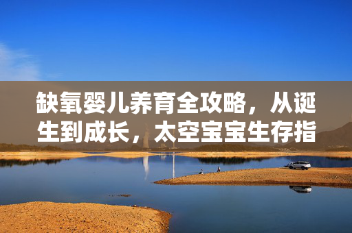 缺氧婴儿养育全攻略，从诞生到成长，太空宝宝生存指南，缺氧婴儿太空养育全攻略，从诞生到成长的生存指南