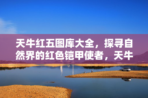 天牛红五图库大全，探寻自然界的红色铠甲使者，天牛，自然界的红色铠甲使者图库大全