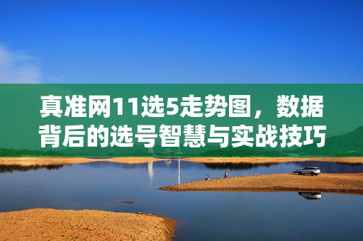 真准网11选5走势图，数据背后的选号智慧与实战技巧，真准网11选5走势图，数据智慧与实战选号技巧