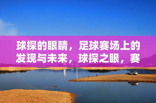球探的眼睛，足球赛场上的发现与未来，球探之眼，赛场发现与未来