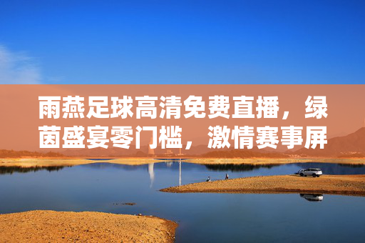 雨燕足球高清免费直播，绿茵盛宴零门槛，激情赛事屏中看，雨燕足球高清免费直播，零门槛绿茵盛宴，激情赛事屏中看