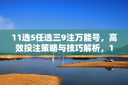 11选5任选三9注万能号，高效投注策略与技巧解析，11选5任选三9注万能号高效投注策略与技巧解析