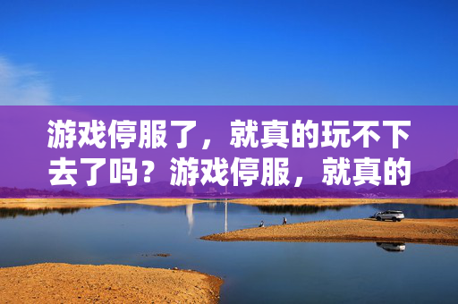 游戏停服了，就真的玩不下去了吗？游戏停服，就真的玩不下去了？