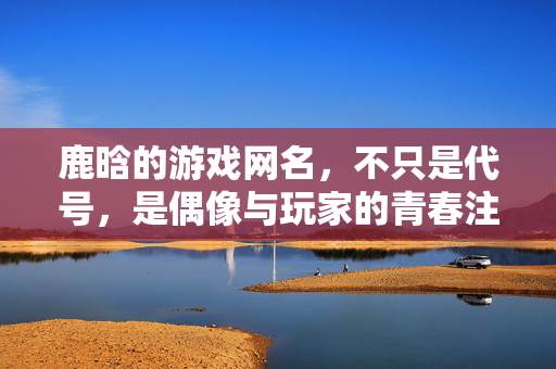 鹿晗的游戏网名，不只是代号，是偶像与玩家的青春注脚