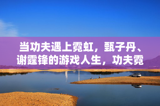 当功夫遇上霓虹，甄子丹、谢霆锋的游戏人生，功夫霓虹，甄子丹、谢霆锋的游戏人生