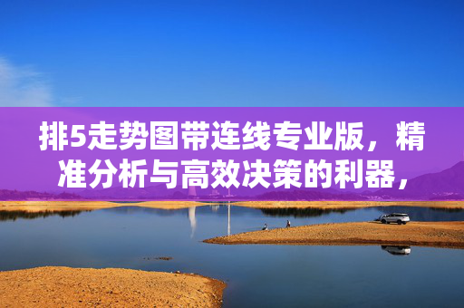 排5走势图带连线专业版，精准分析与高效决策的利器，排5走势图带连线专业版精准分析与高效决策利器