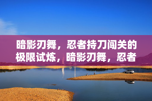 暗影刃舞，忍者持刀闯关的极限试炼，暗影刃舞，忍者持刀闯关极限试炼