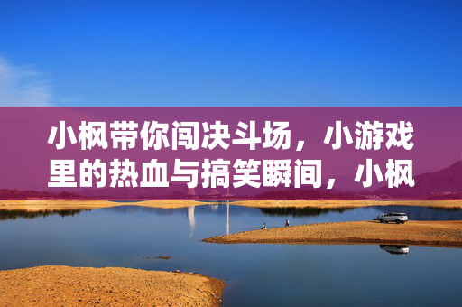 小枫带你闯决斗场，小游戏里的热血与搞笑瞬间，小枫闯决斗场，小游戏热血搞笑瞬间