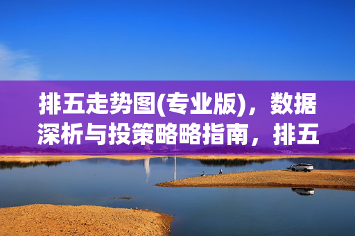 排五走势图(专业版)，数据深析与投策略略指南，排五走势图(专业版)，数据深析与投策略略指南