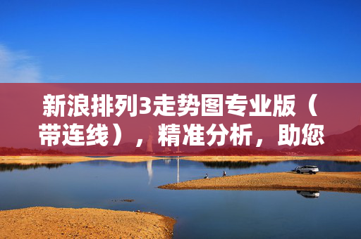 新浪排列3走势图专业版（带连线），精准分析，助您把握开奖规律，新浪排列3专业版走势图（带连线），精准分析助把握开奖规律