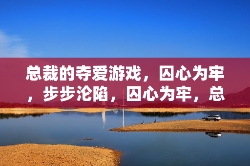 总裁的夺爱游戏，囚心为牢，步步沦陷，囚心为牢，总裁夺爱步步沦陷
