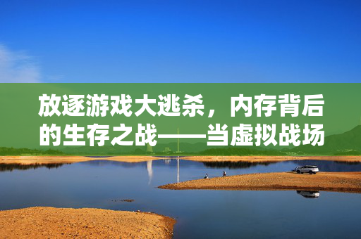 放逐游戏大逃杀，内存背后的生存之战——当虚拟战场吞噬硬件资源，内存战场，放逐大逃杀的生存之战