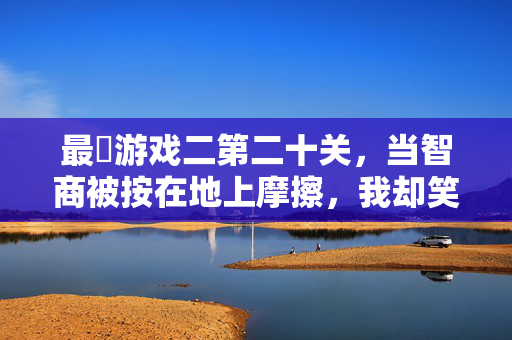 最囧游戏二第二十关，当智商被按在地上摩擦，我却笑到打鸣