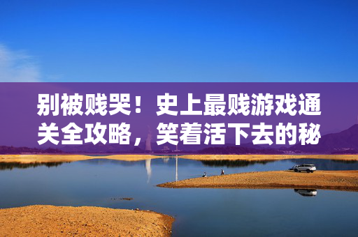别被贱哭！史上最贱游戏通关全攻略，笑着活下去的秘诀，别被贱哭！史上最贱游戏通关全攻略，笑着活下去的秘诀