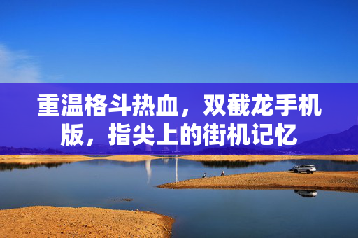 重温格斗热血，双截龙手机版，指尖上的街机记忆