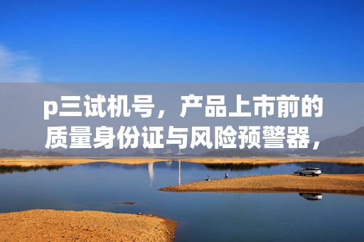 p三试机号，产品上市前的质量身份证与风险预警器，p三试机号，产品上市前的质量身份证与风险预警器