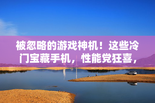 被忽略的游戏神机！这些冷门宝藏手机，性能党狂喜，价格还香炸了！被忽略的游戏神机！冷门宝藏手机性能狂喜，价格香炸了