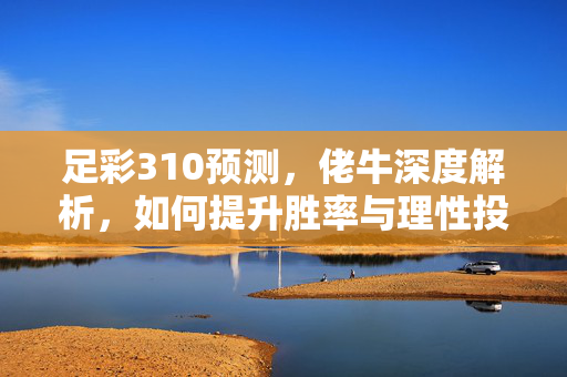 足彩310预测，佬牛深度解析，如何提升胜率与理性投注，佬牛深度解析足彩310预测，提升胜率与理性投注之道