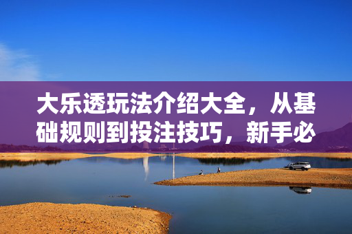 大乐透玩法介绍大全，从基础规则到投注技巧，新手必看，大乐透玩法全攻略，从基础规则到投注技巧，新手必看