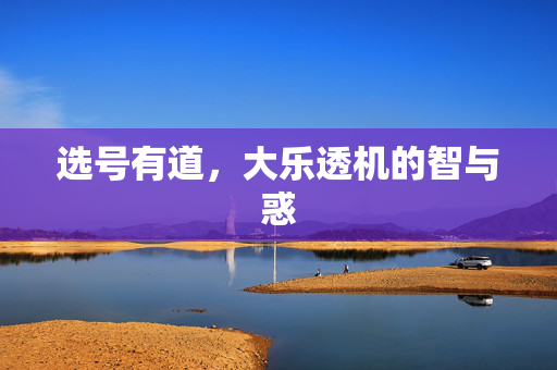 选号有道，大乐透机的智与惑