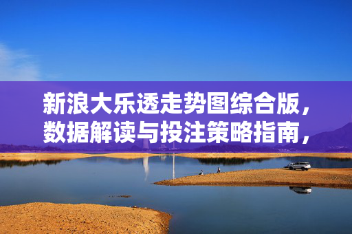 新浪大乐透走势图综合版，数据解读与投注策略指南，新浪大乐透走势图综合版，数据解读与投注策略指南
