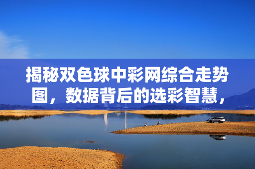 揭秘双色球中彩网综合走势图，数据背后的选彩智慧，双色球中彩网综合走势图，数据背后的选彩智慧揭秘