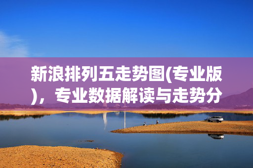 新浪排列五走势图(专业版)，专业数据解读与走势分析指南，新浪排列五走势图(专业版)，专业数据解读与走势分析指南