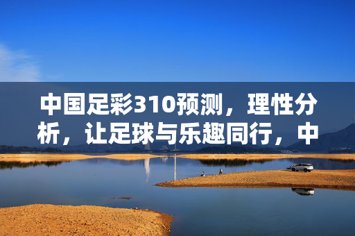 中国足彩310预测,理性分析,让足球与乐趣同行,中国足彩310预测,理性分析,足球乐趣同行