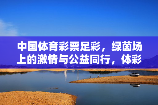 中国体育彩票足彩，绿茵场上的激情与公益同行，体彩足彩，绿茵激情与公益同行