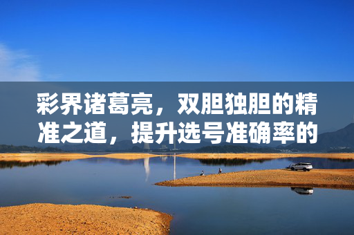 彩界诸葛亮，双胆独胆的精准之道，提升选号准确率的核心策略，彩界诸葛亮双胆独胆精准之道，提升选号准确率核心策略