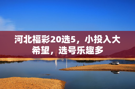 河北福彩20选5，小投入大希望，选号乐趣多