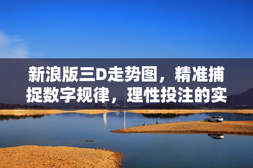 新浪版三D走势图，精准捕捉数字规律，理性投注的实用指南，新浪版三D走势图，精准捕捉数字规律，理性投注指南