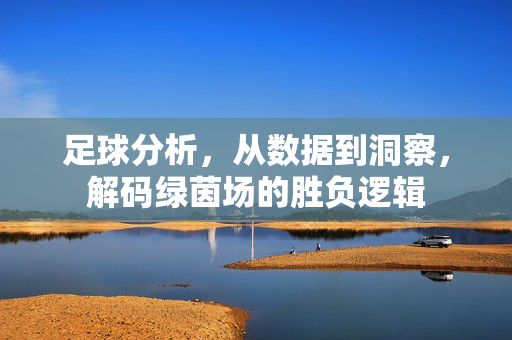 足球分析，从数据到洞察，解码绿茵场的胜负逻辑
