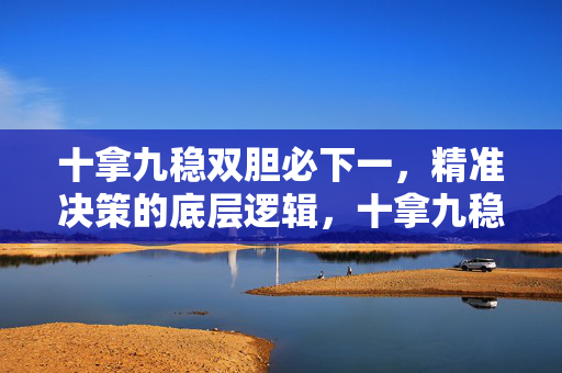 十拿九稳双胆必下一，精准决策的底层逻辑，十拿九稳双胆必下一，精准决策的底层逻辑