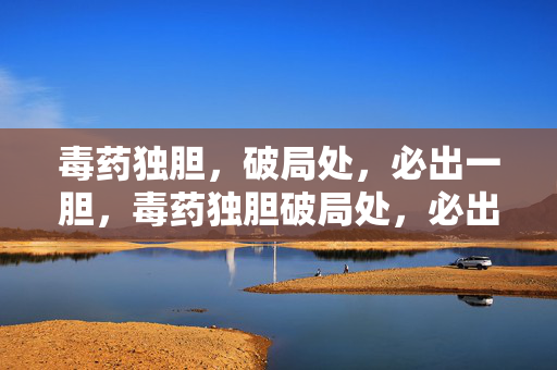 毒药独胆，破局处，必出一胆，毒药独胆破局处，必出一胆
