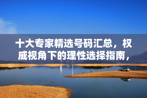 十大专家精选号码汇总，权威视角下的理性选择指南，十大专家精选号码汇总，权威理性选择指南