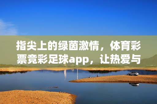 指尖上的绿茵激情，体育彩票竞彩足球app，让热爱与理性同行，指尖竞彩，绿茵激情与理性同行