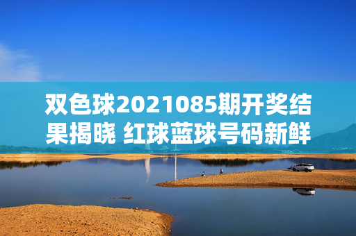 双色球2021085期开奖结果揭晓 红球蓝球号码新鲜出炉，双色球2021085期开奖结果，红球蓝球号码揭晓