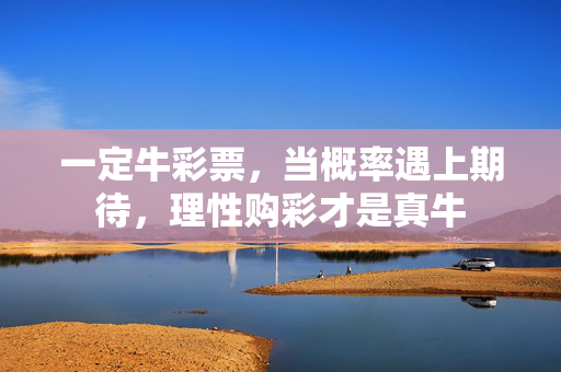 一定牛彩票，当概率遇上期待，理性购彩才是真牛