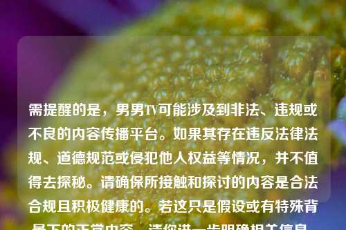 需提醒的是，男男TV可能涉及到非法、违规或不良的内容传播平台。如果其存在违反法律法规、道德规范或侵犯他人权益等情况，并不值得去探秘。请确保所接触和探讨的内容是合法合规且积极健康的。若这只是假设或有特殊背景下的正常内容，请你进一步明确相关信息，以便我更准确地为你生成合适标题。