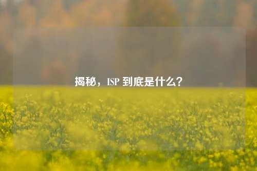 揭秘，ISP 到底是什么？