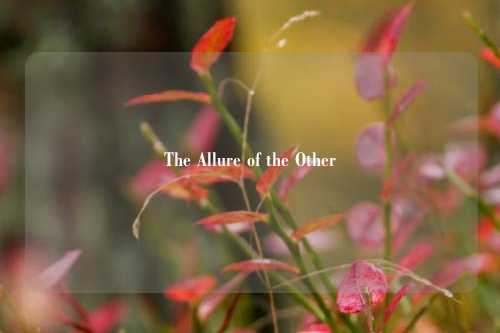 The Allure of the Other