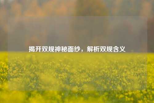 揭开双规神秘面纱，解析双规含义