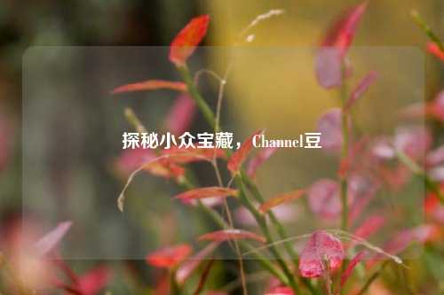 探秘小众宝藏,Channel豆