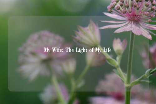 My Wife: The Light of My Life